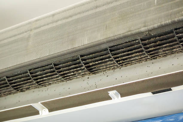 Best Emergency Air Duct Cleaning  in Helena Flats, MT